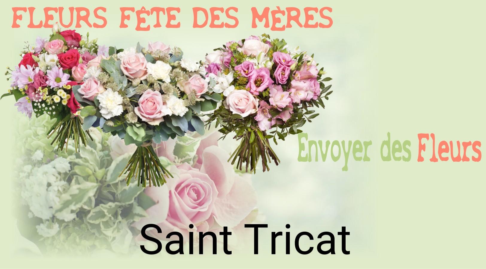 Bouquet de Fête des Mères livré à Saint-Tricat